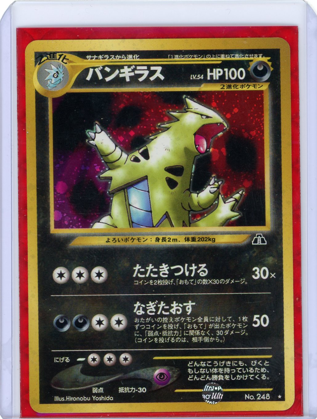 Tyranitar - Crossing the Ruins...