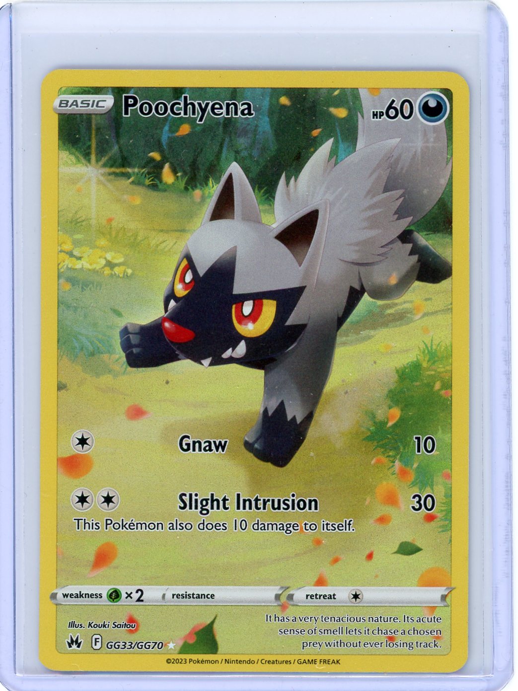 Poochyena - Crown Zenith: Galarian Gallery GG33/GG70