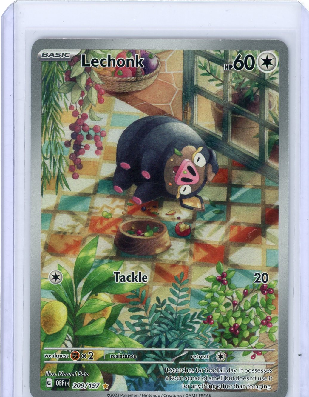 Lechonk - 209/197 - SV03: Obsidian Flames