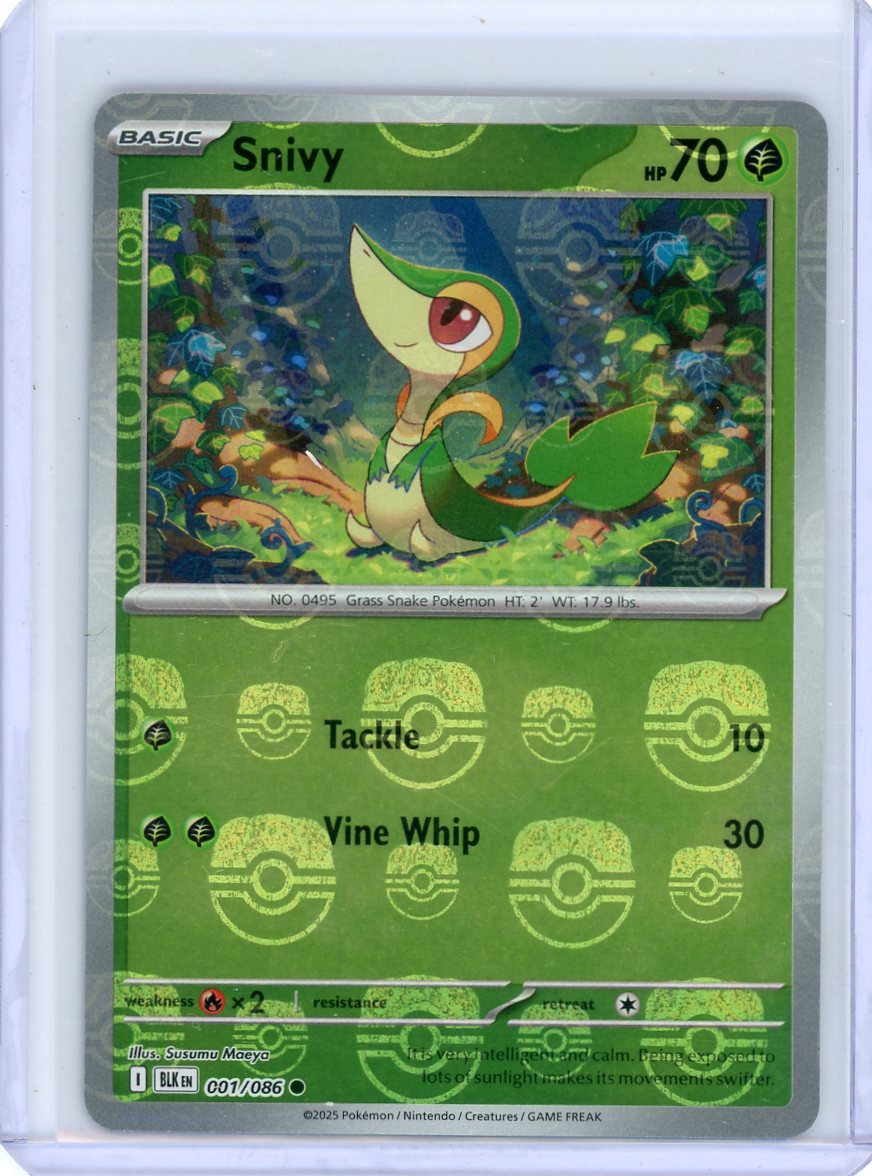 Snivy (Master Ball Pattern) - SV: Black Bolt