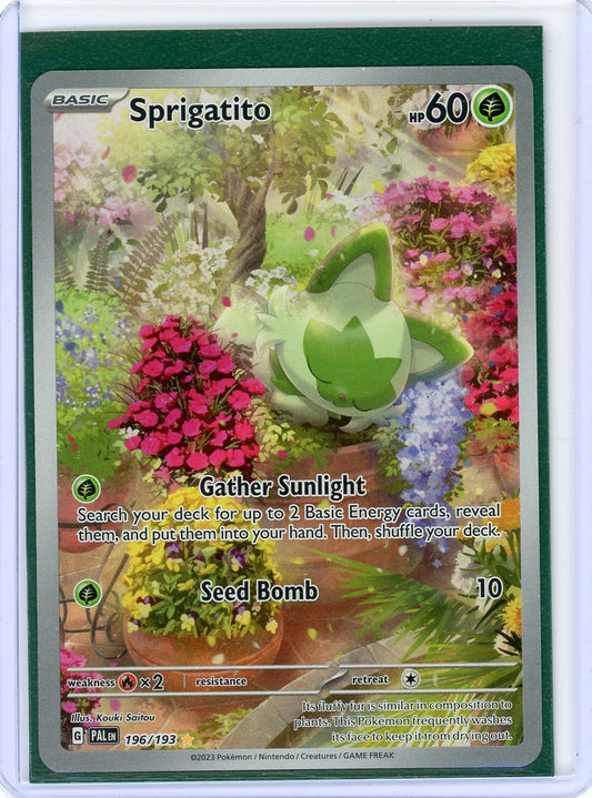 Sprigatito - 196/193 - SV02: Paldea Evolved