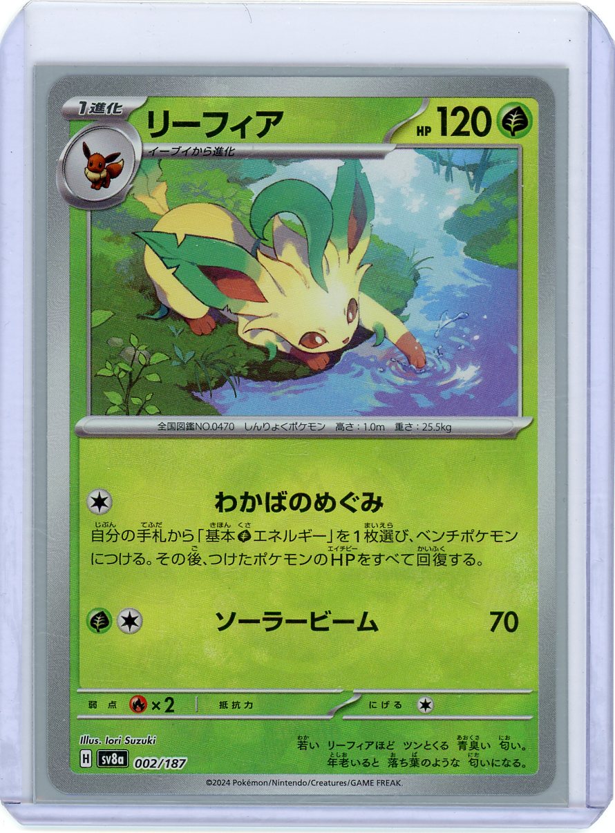 サンダース カードダス psa8 トップサン カードダス PSA 鑑定品